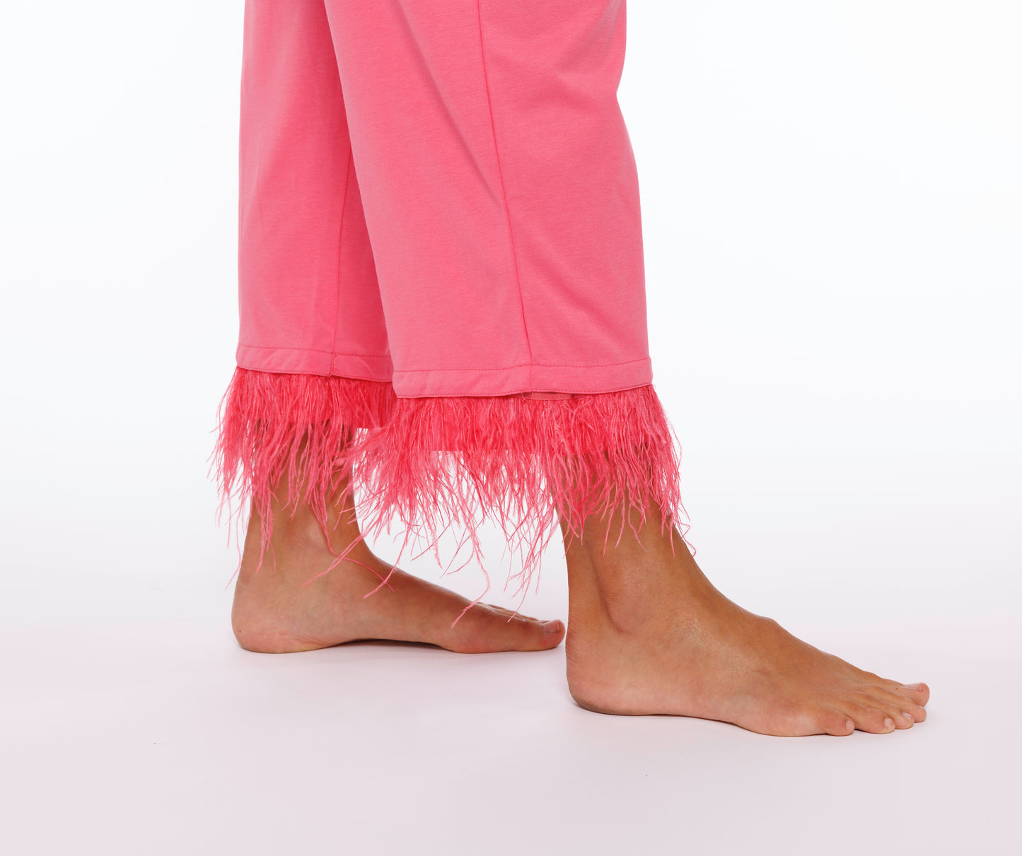 Pink Plume